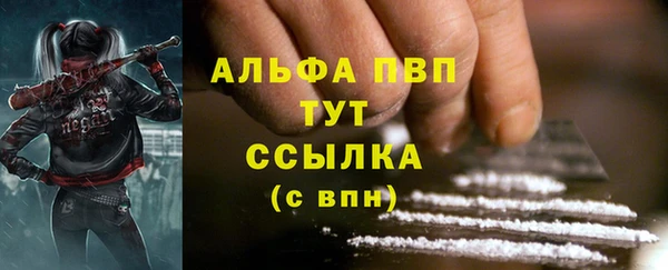 шишки Каменка