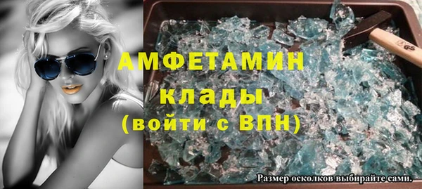 шишки Каменка