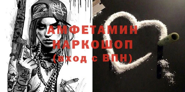 шишки Каменка