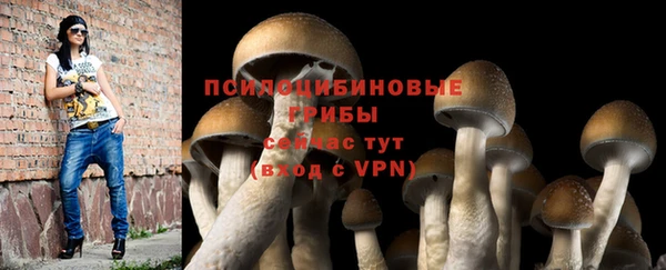 МДМА Каменногорск