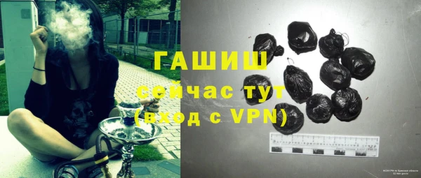 шишки Каменка